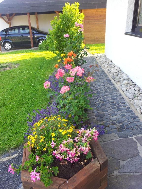 Ferienwohnung Evangeline Borsch Zell an der Mosel Exteriör bild